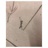 Framed SALVADOR DALI Artist Proof Lithograph Print (Broken Glass)