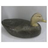 Duck Decoy