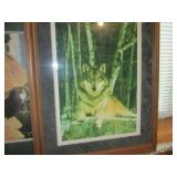 Wolf Photo by Lynn Rodgers