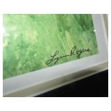 Wolf Photo by Lynn Rodgers