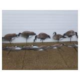 Goose Decoys
