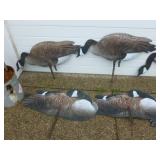 Goose Decoys