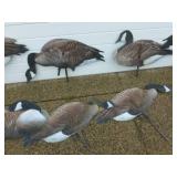 Goose Decoys