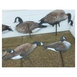 Goose Decoys