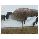 Goose Decoys