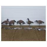 Goose Decoys
