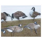 Goose Decoys