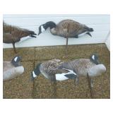 Goose Decoys