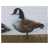 Goose Decoys
