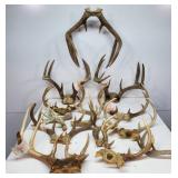 Antlers. Approx 19 lbs.