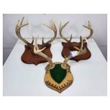 (3) Antlers on Boards