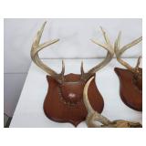 (3) Antlers on Boards
