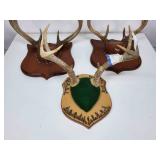 (3) Antlers on Boards
