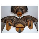 4 Turkey Feather Mounts
