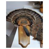 4 Turkey Feather Mounts