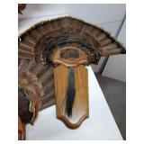 4 Turkey Feather Mounts
