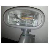 Smart guard video camera and motion light.