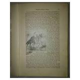 Super rare Deeds of Daring by both blue and gray thrilling narratives. The great civil war 1893