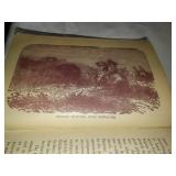 "Indian Horrors" or "Massacres by the Red Men 1891.