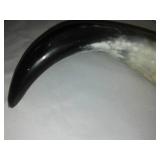 Animal horn drinking Reservoir / flask. Very cool, Vikings or bison.