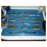 John Jensen fish decoy print. Number 392 / 1000 signed.