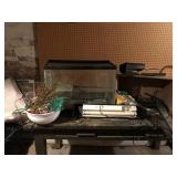 25 Gallon Aquarium and accessories