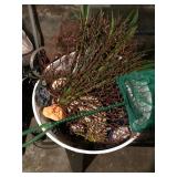 25 Gallon Aquarium and accessories