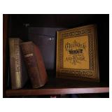 1883s Mountain, Lake and River 25 Steel Engravings by W H Bartlett