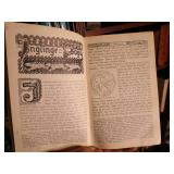 1883s Mountain, Lake and River 25 Steel Engravings by W H Bartlett