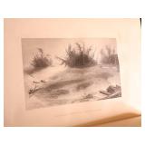 1883s Mountain, Lake and River 25 Steel Engravings by W H Bartlett
