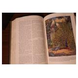 1930 & 1931 National Geographics Index