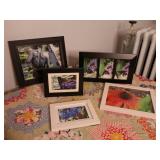Lot of Picture Frames  (photographs of butterflies and flowers)