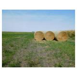 10 round bales of 4x6 wheat straw