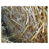 10 round bales of 4x6 wheat straw