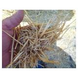 14 4x6 round bales of straw