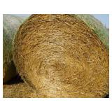 14 4x6 round bales of straw