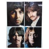 The Beatles LP Album Collection