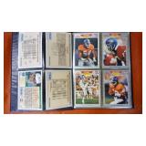 Super Bowl XXIV Special Collectors Edition Cards