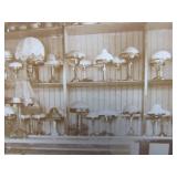 Lot of 4 Antique Interior Photographs - Including Saloon