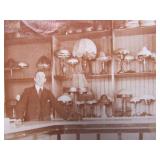 Lot of 4 Antique Interior Photographs - Including Saloon