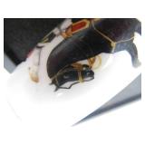 Antique German Regimental Smoking Pipe