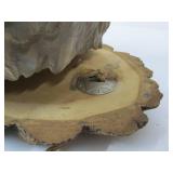 Large Native American Style Wolf