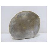 Group of Large Polished Agates