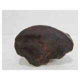 Group of Large Polished Agates