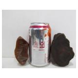 Group of Large Polished Agates