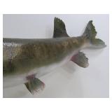 Vintage Taxidermy Muskie Mount
