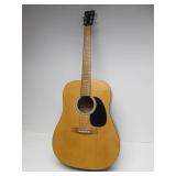 Rogue Dreadnaught Model RA-100D Acoustic Guitar