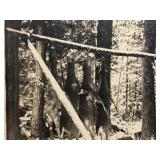 Lot of Antique Hunting & Fishing Photographs