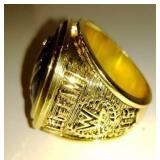 WWE 2015 Hall of fame ring