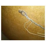 Circular Mirror heavy quality.